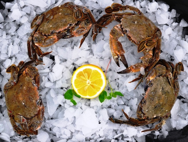 Velvet Crabs Rockabill Seafood Ltd