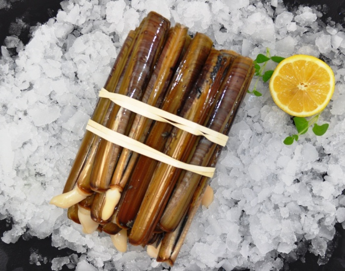 Live Razor Clams Rockabill Seafood Ltd