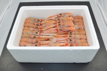 3kg Fresh Prawn Poly Box