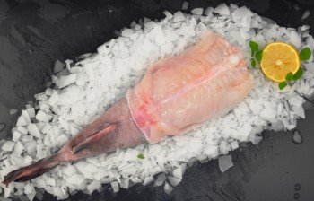 Fresh Monkfish Tails