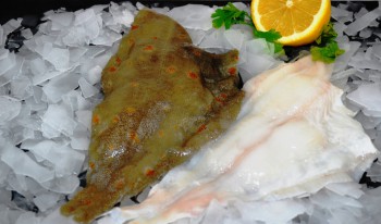 Fresh Plaice Fillets