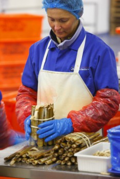 Razor grading