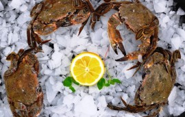 Velvet-Crabs-loose