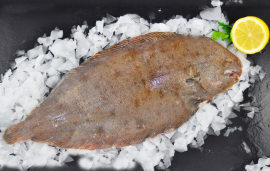 Fresh Whole Black Sole