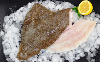 Fresh Brill Fillets