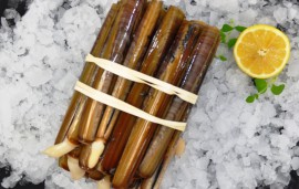 Live Razor Clams