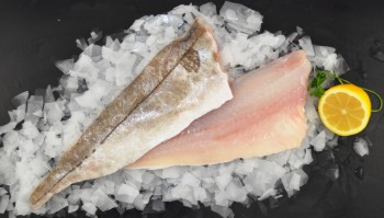 Fresh Haddock Side Fillets