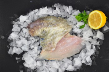Fresh John Dory Fillets