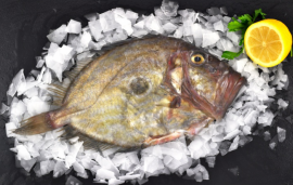 Fresh Whole John Dory