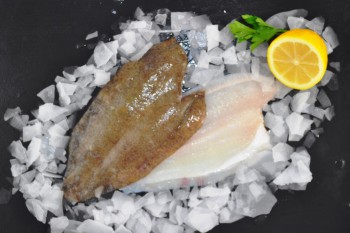 Fresh Lemon Sole Fillets