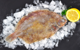 Whole Fresh Lemon Sole