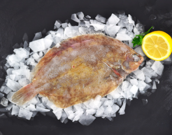 Whole Fresh Lemon Sole