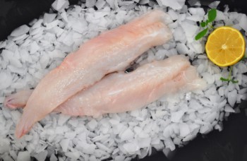 Fresh Monkfish Fillets