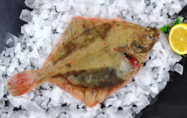 Fresh Whole Plaice