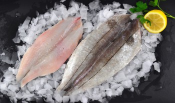 Fresh Haddock Butterfly Fillets