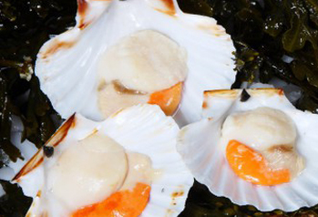 Irish King Scallops