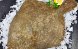 Fresh Whole Turbot