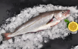 Fresh Whole Whiting